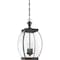 Quoizel Oasis Outdoor Hanging Lantern OAS1909Z - alternate 4